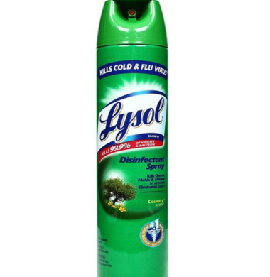 Lysol Spray Cntry 510gms L4012